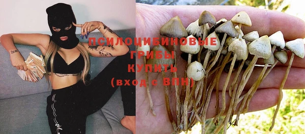 гидра Сосновка
